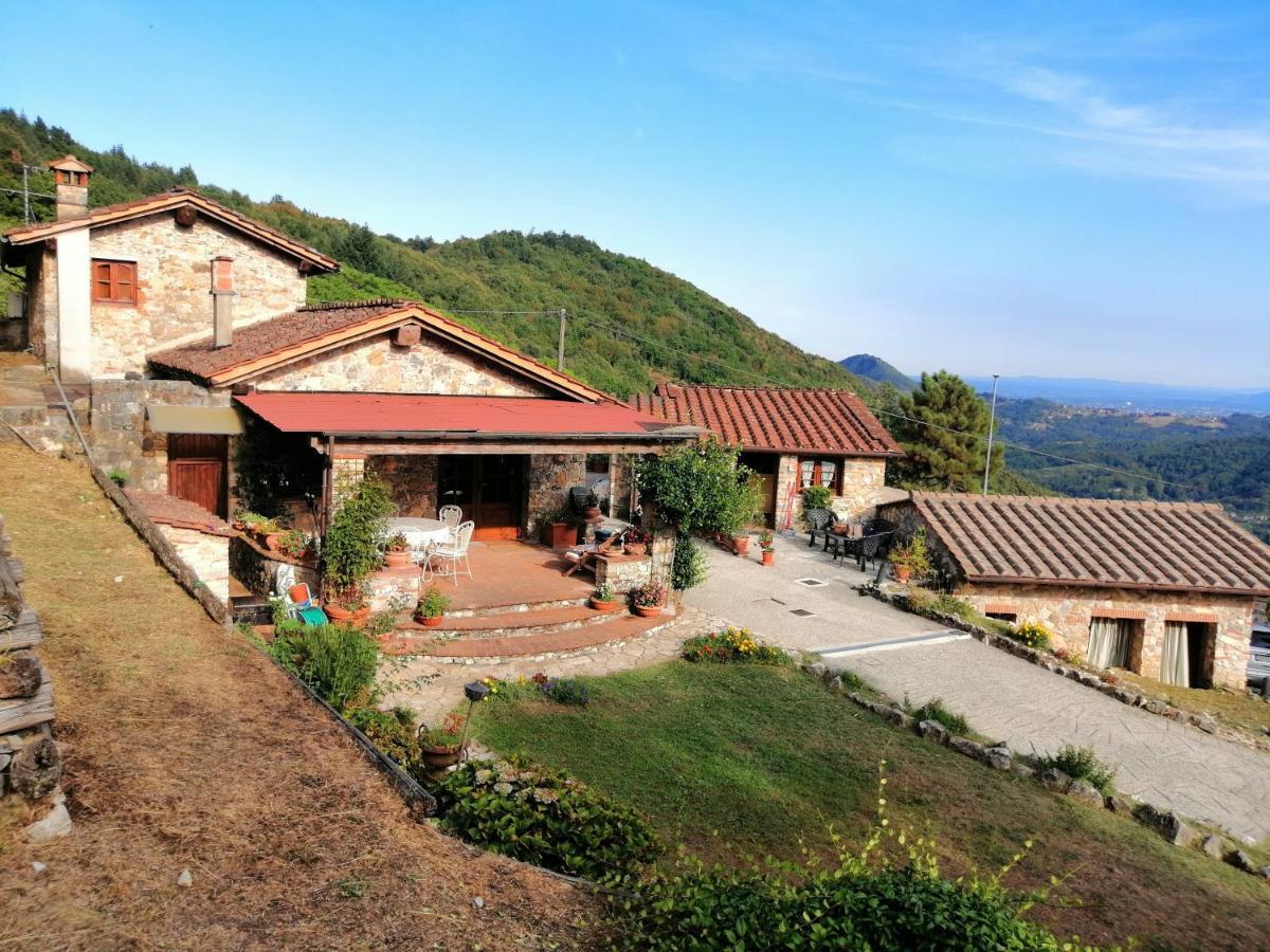Villa Armonia Borgo a Mozzano Exteriör bild